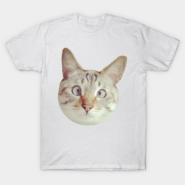 CAT T-Shirt by ghjura